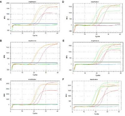 Development and clinical validation of a dual ddPCR assay for detecting carbapenem-resistant Acinetobacter baumannii in bloodstream infections